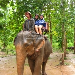 Elefantenritt durch den matschigen Dschungel